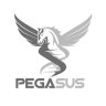 Pegasus